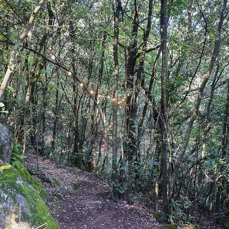 2 Bedroom Stunning In